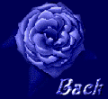 blurosback.gif (7075 bytes)