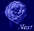blurosenxt.gif (6976 bytes)