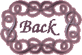 set273back.gif (7272 bytes)