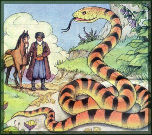 snake2.jpg (31748 bytes)