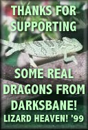 support1.jpg (13311 bytes)