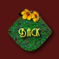 tropicback.jpg (3750 bytes)