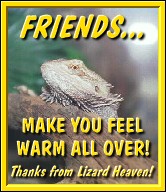 warm.jpg (16402 bytes)